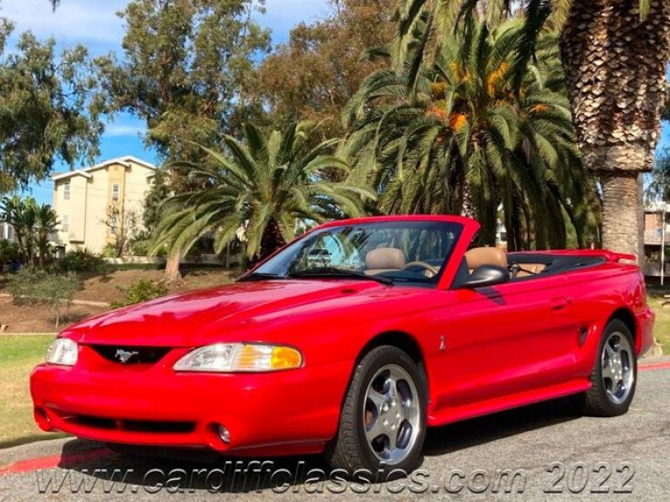 Thumbnail Photo undefined for 1994 Ford Mustang Cobra Convertible